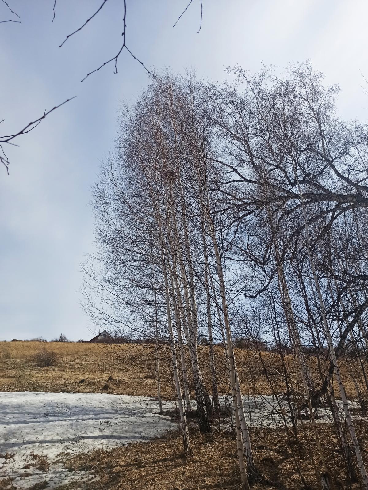 Гнезда