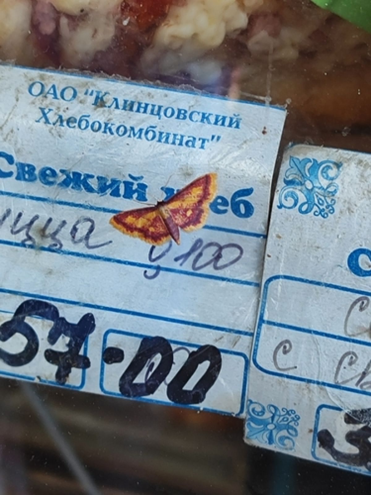 Малая пяденица красноватая