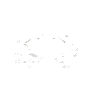 Тип