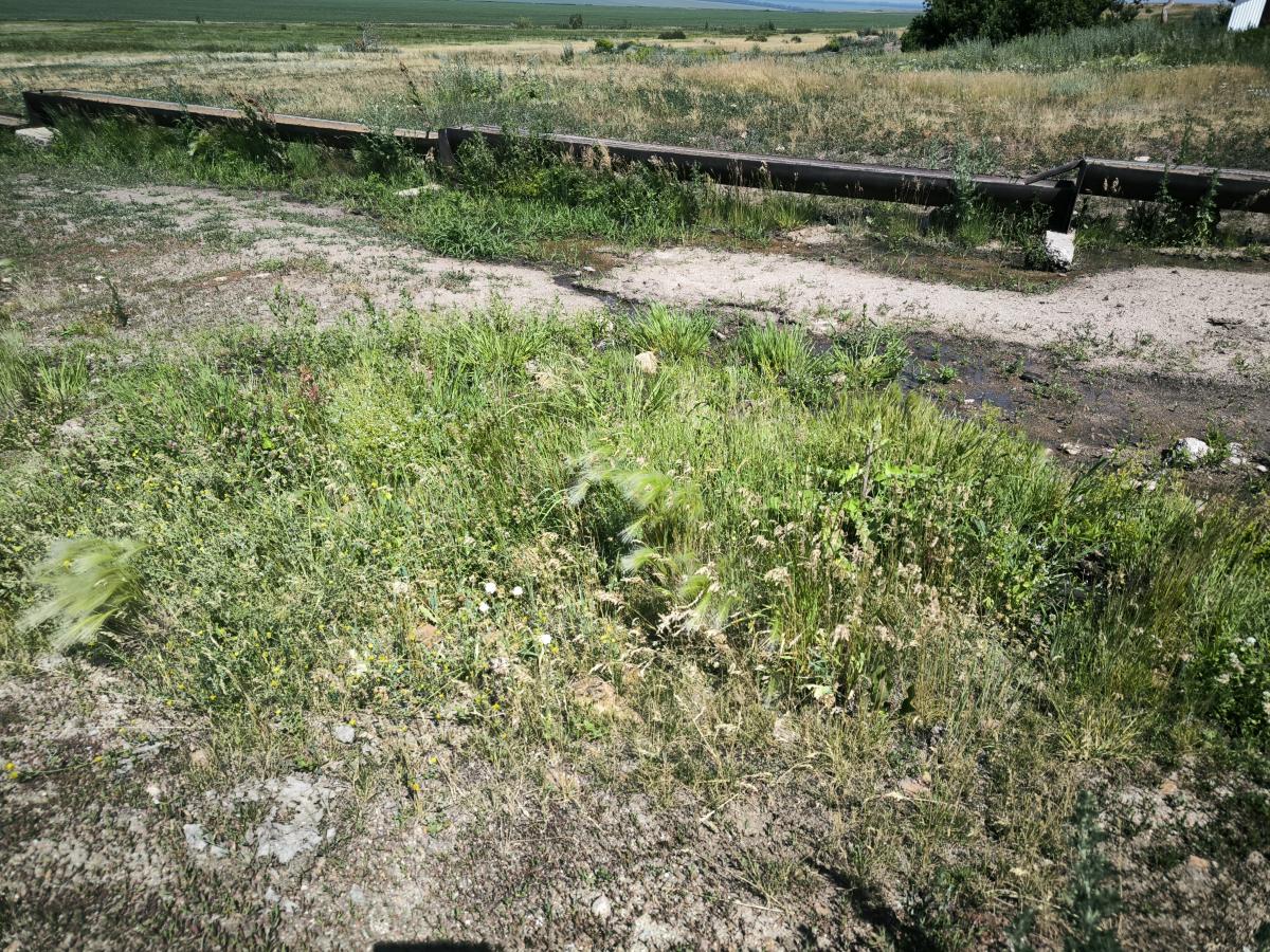 observation image