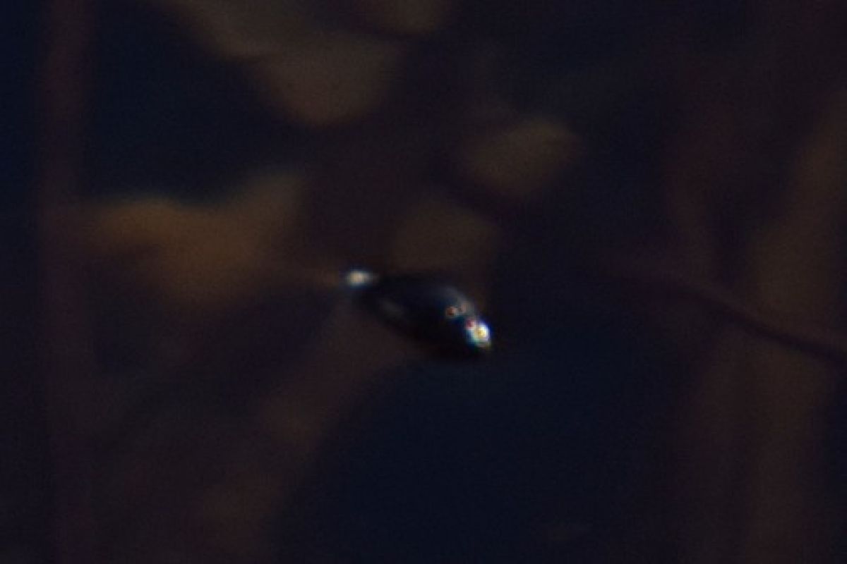 observation image